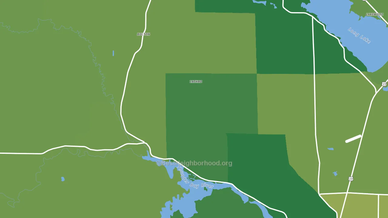 Cathro, MI block-group voter-turnout map