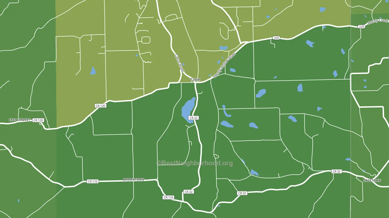 Caton, NY block-group voter-turnout map