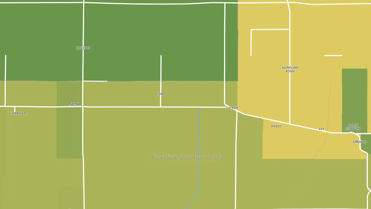 Catron, MO block-group voter-turnout map