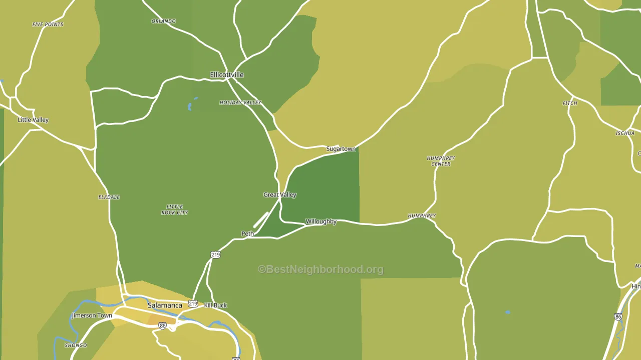 Cattaraugus County, NY block-group voter-turnout map