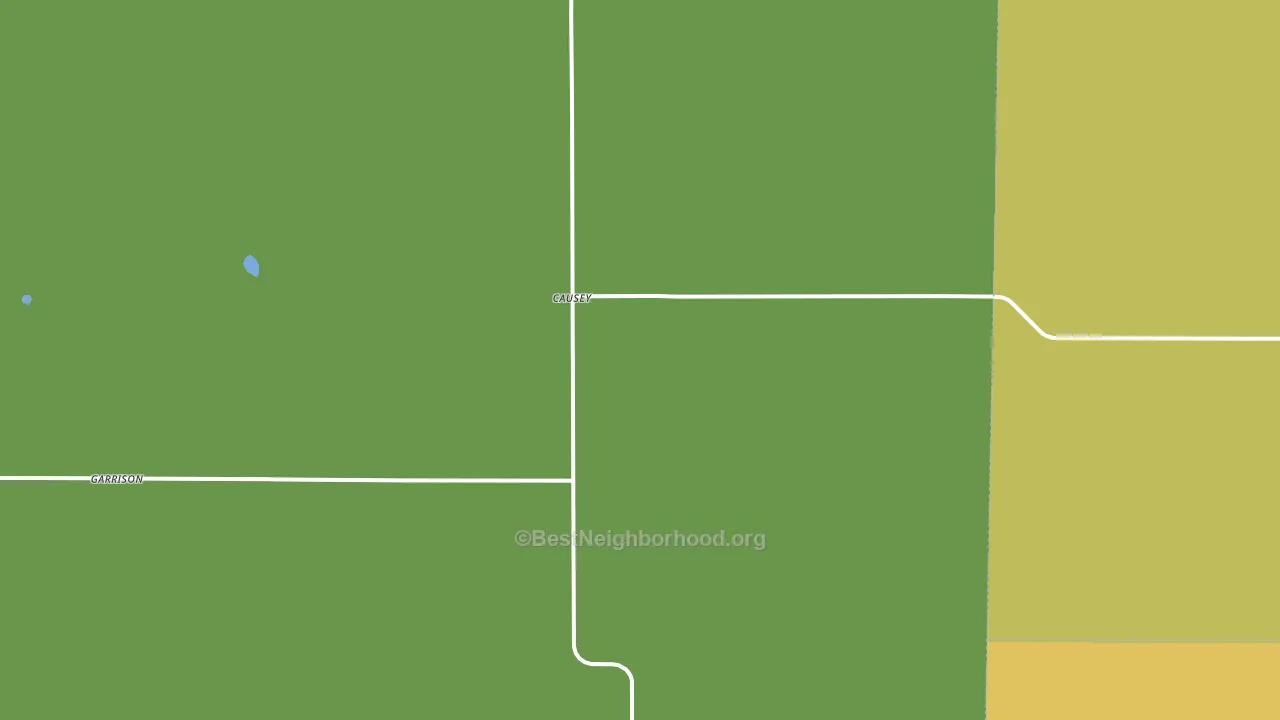 Causey, NM block-group voter-turnout map
