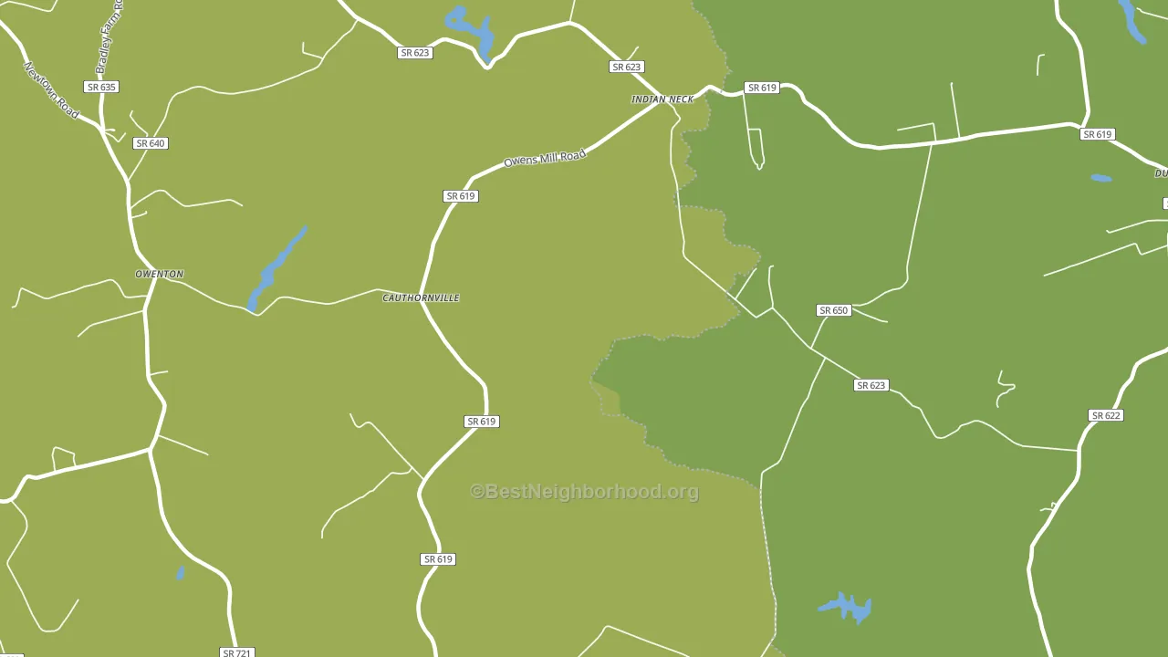 Cauthornville, VA block-group voter-turnout map