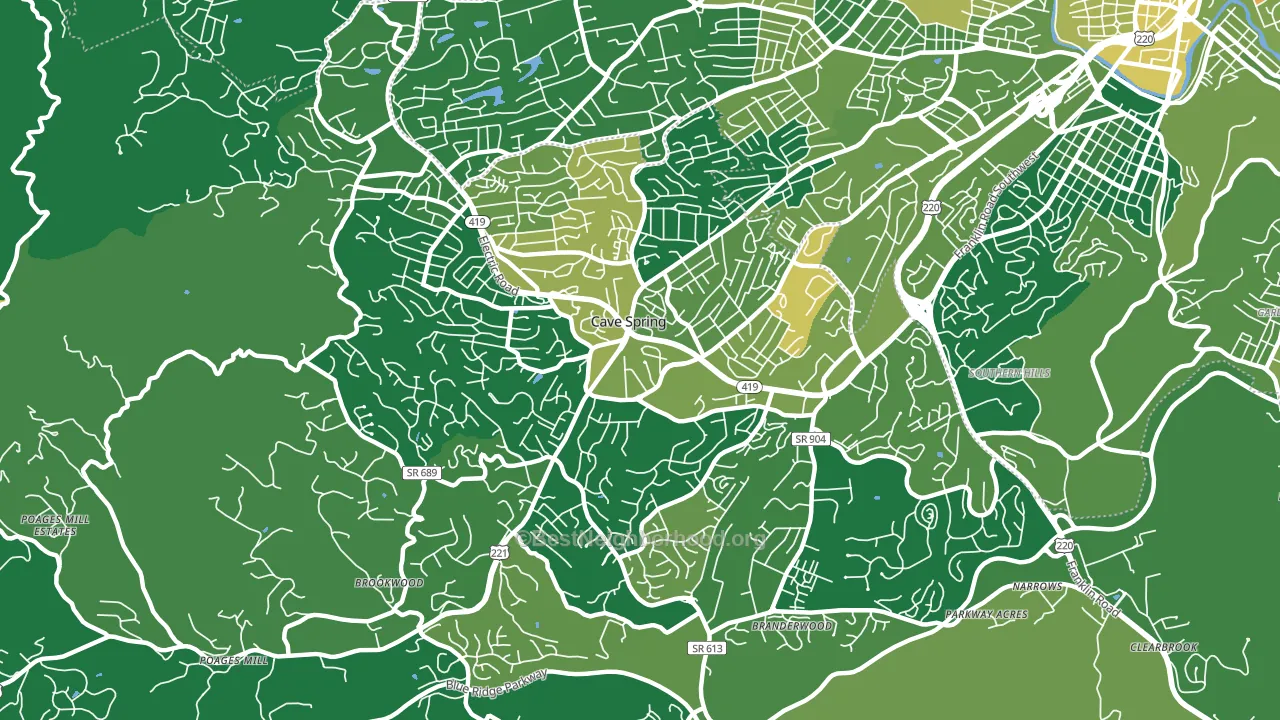 Cave Spring, VA block-group voter-turnout map