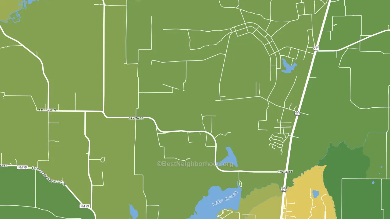 Cavines, TX block-group voter-turnout map