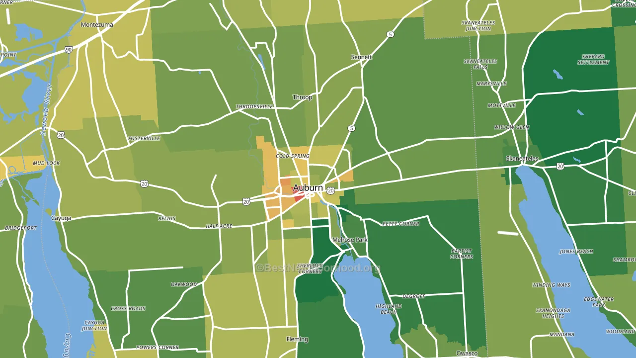 Cayuga County, NY block-group voter-turnout map