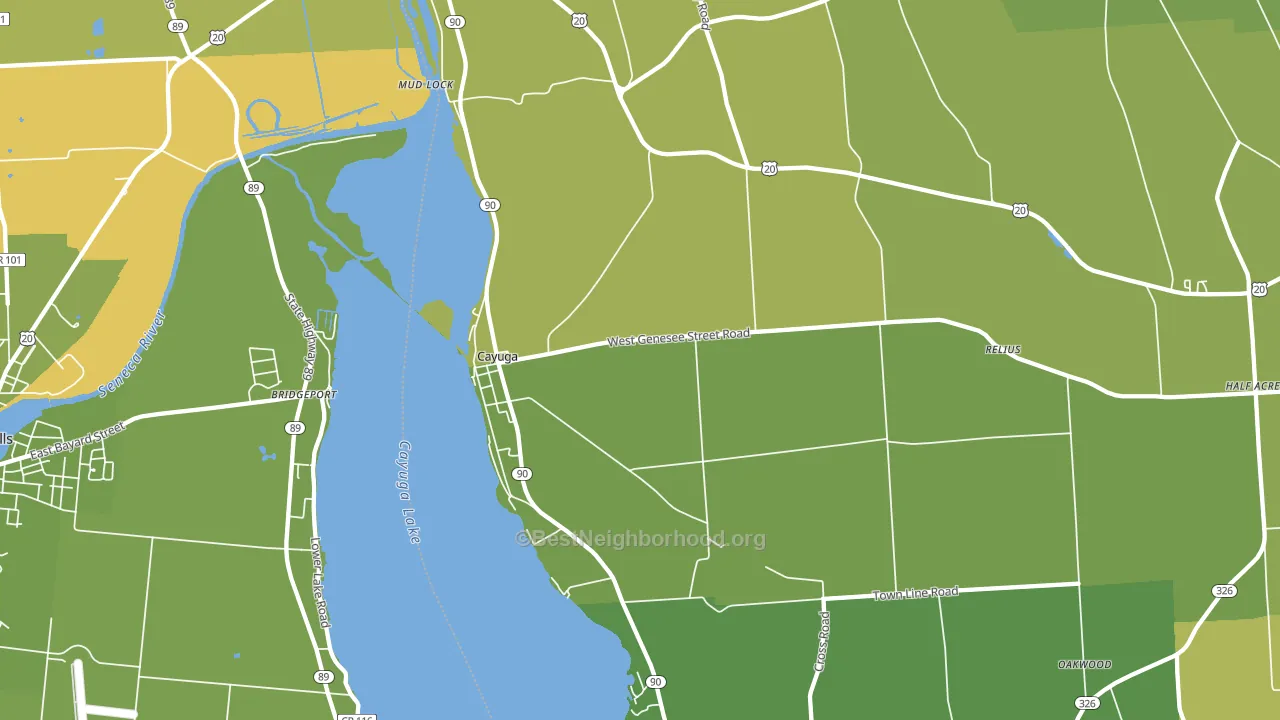 Cayuga, NY block-group voter-turnout map