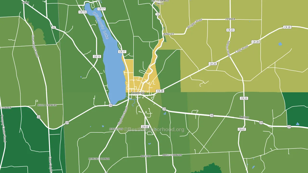 Cazenovia, NY block-group voter-turnout map
