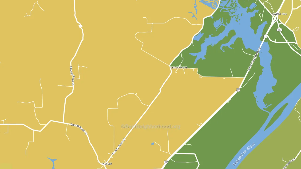 Cedar Grove, AL block-group voter-turnout map