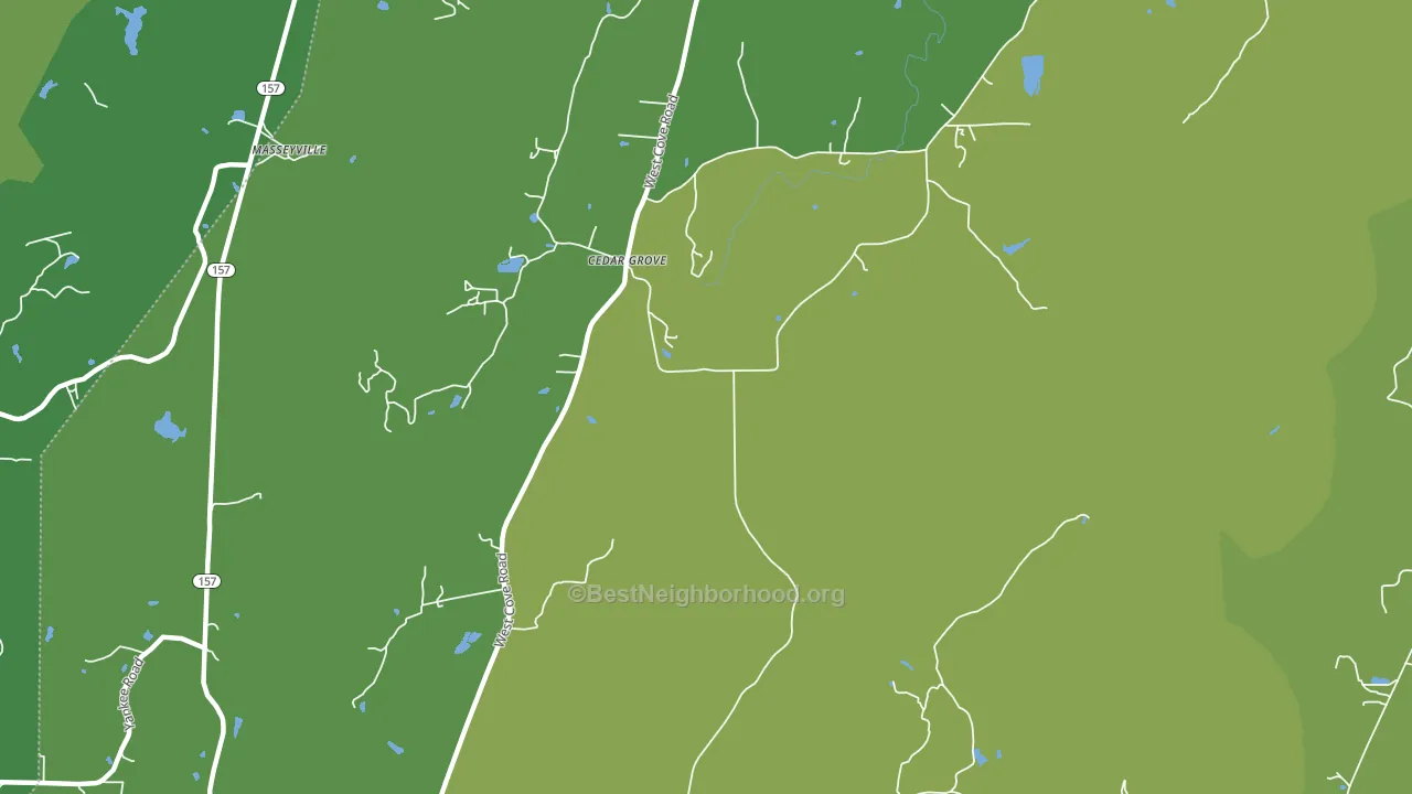 Cedar Grove, GA block-group voter-turnout map