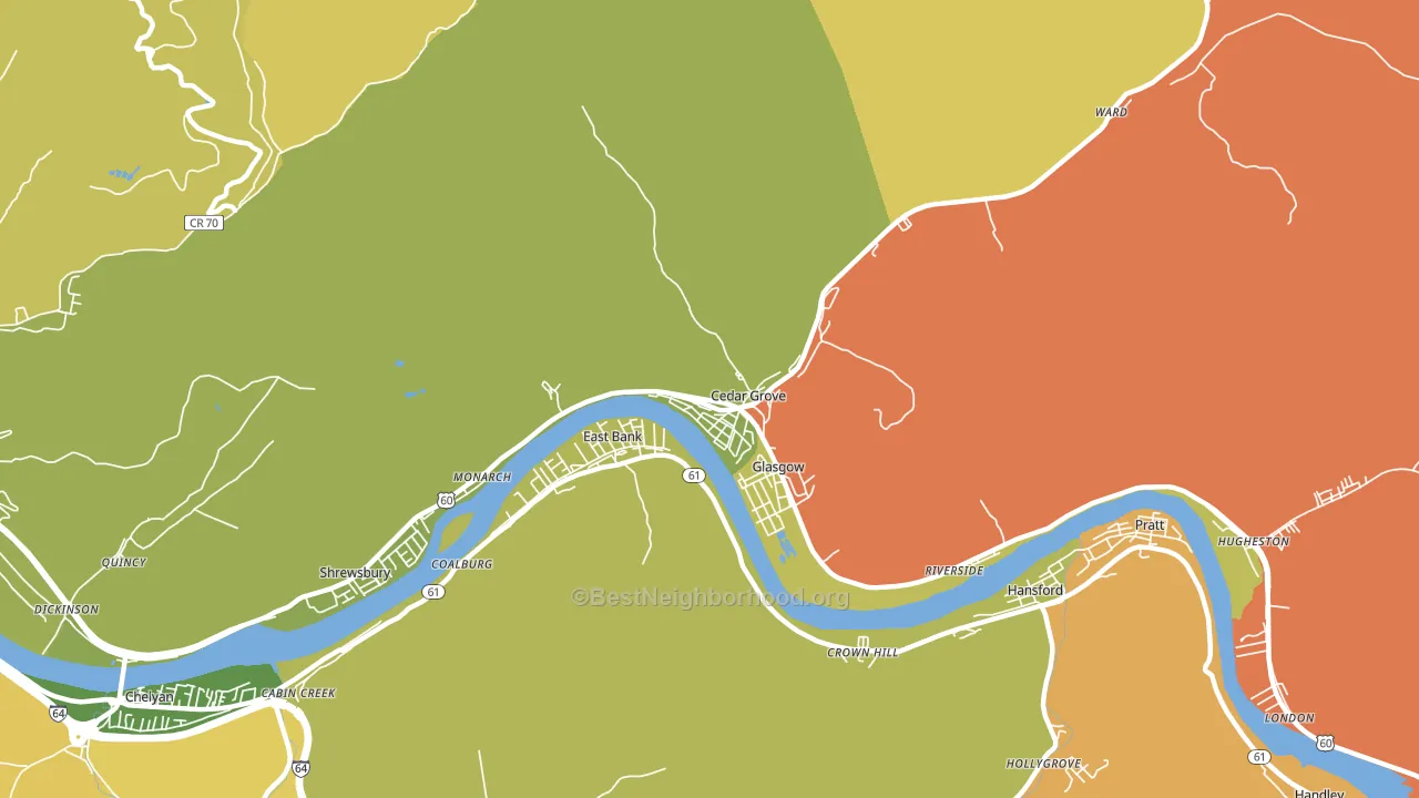 Cedar Grove, WV block-group voter-turnout map