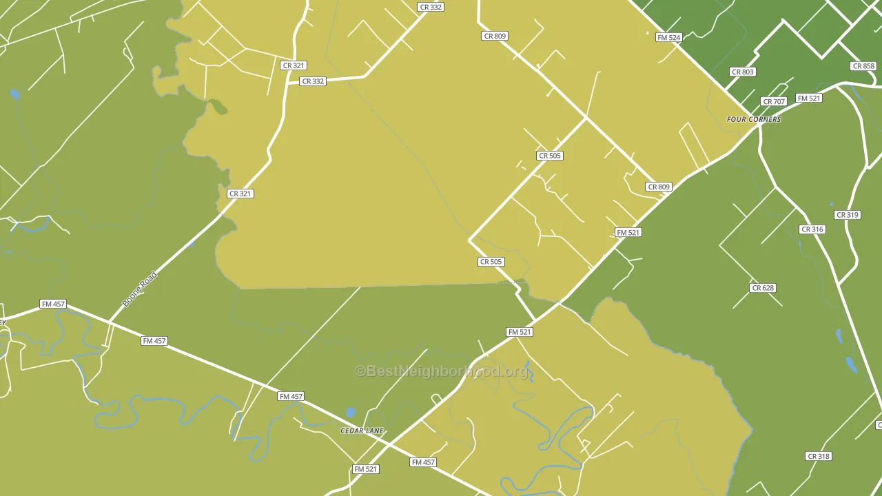 Cedar Lane, TX block-group voter-turnout map