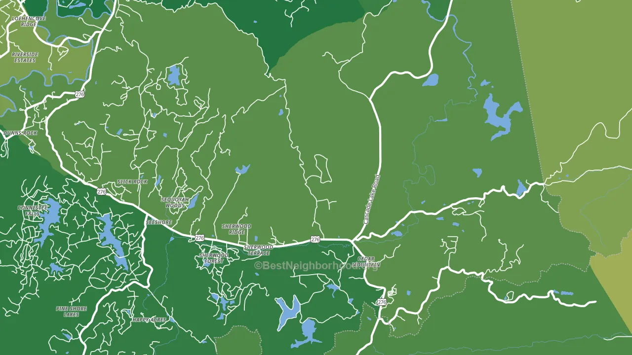 Cedar Mountain, NC block-group voter-turnout map
