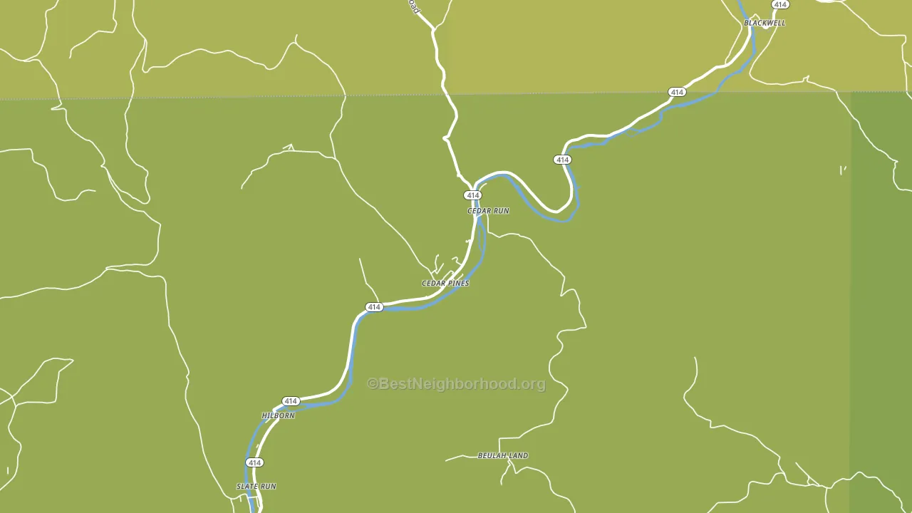 Cedar Run, PA block-group voter-turnout map