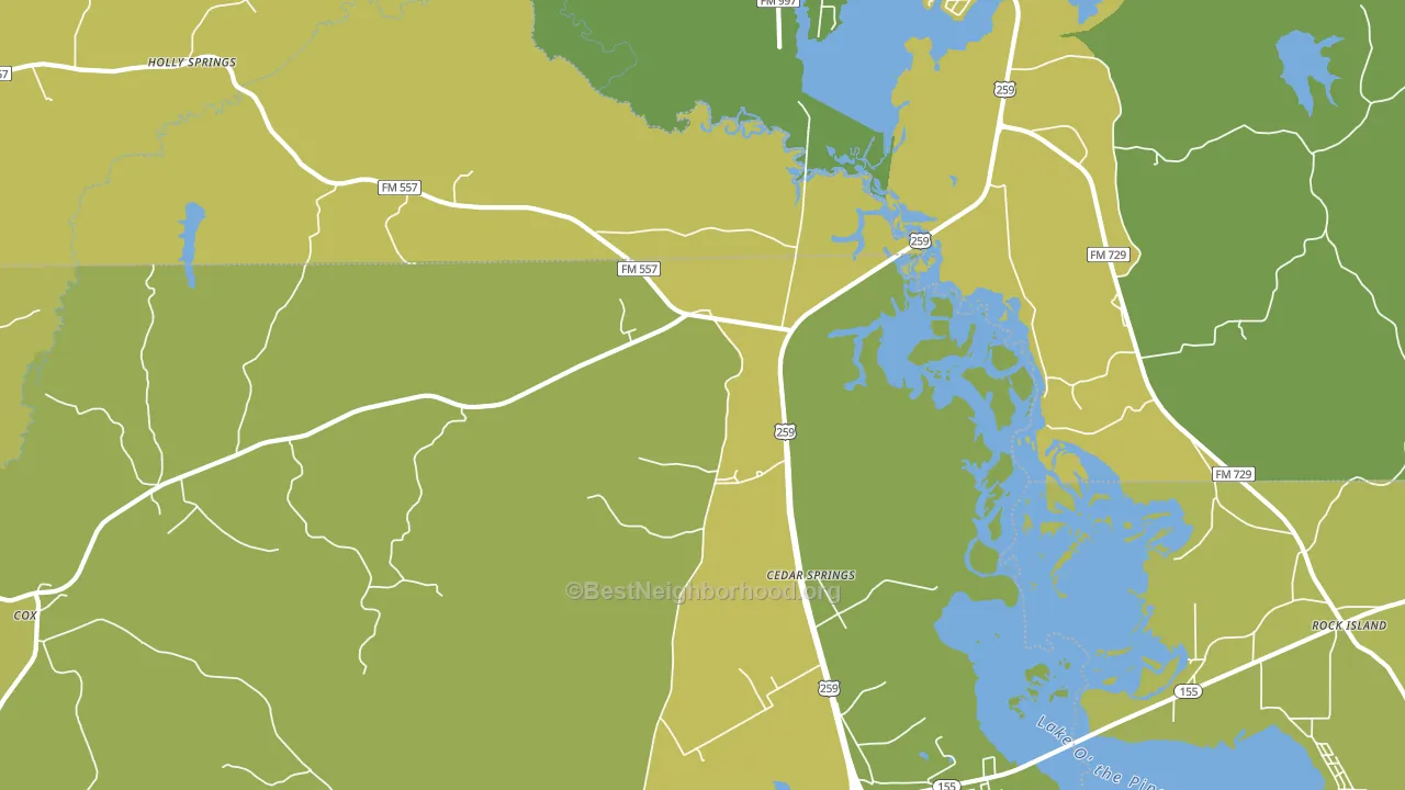 Cedar Springs, TX block-group voter-turnout map