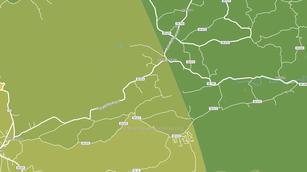 Cedar Springs, VA block-group voter-turnout map