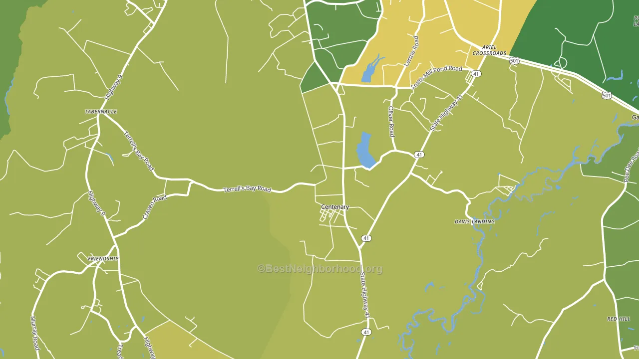 Centenary, SC block-group voter-turnout map