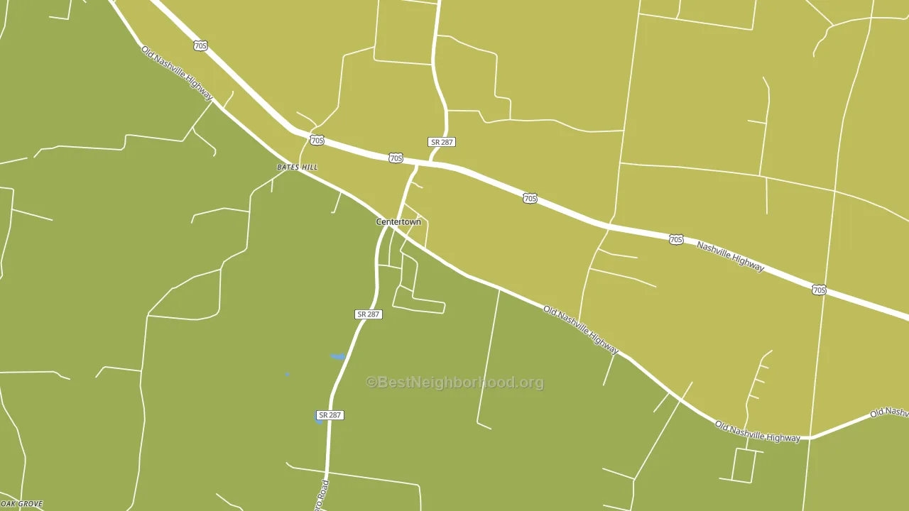 Centertown, TN block-group voter-turnout map