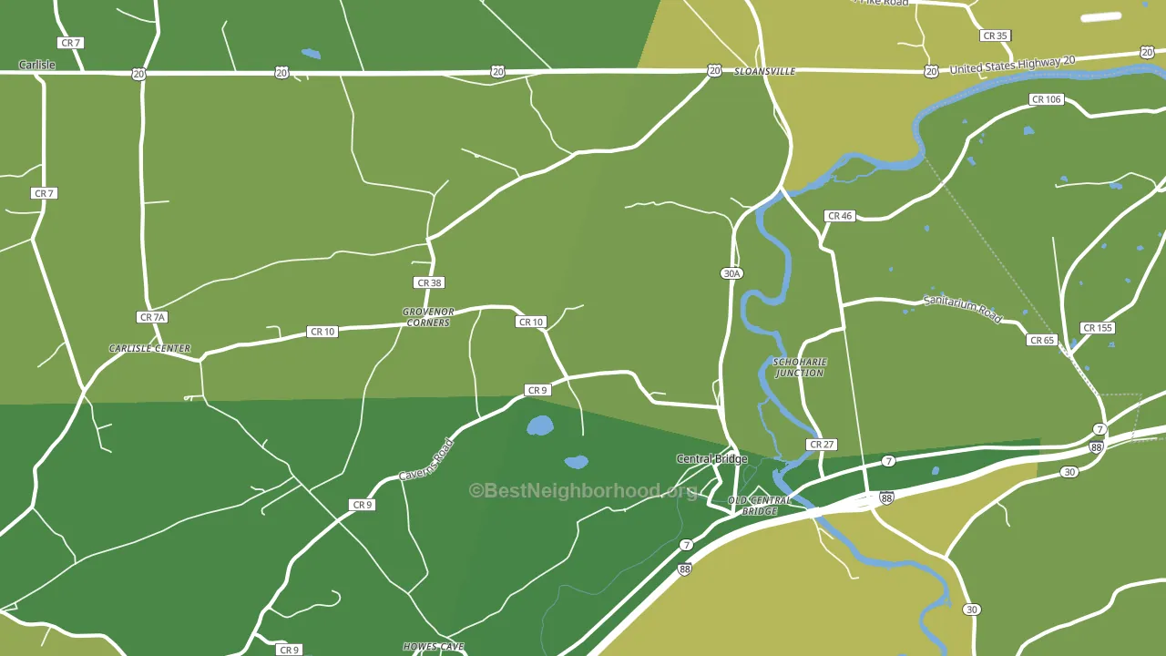 Central Bridge, NY block-group voter-turnout map
