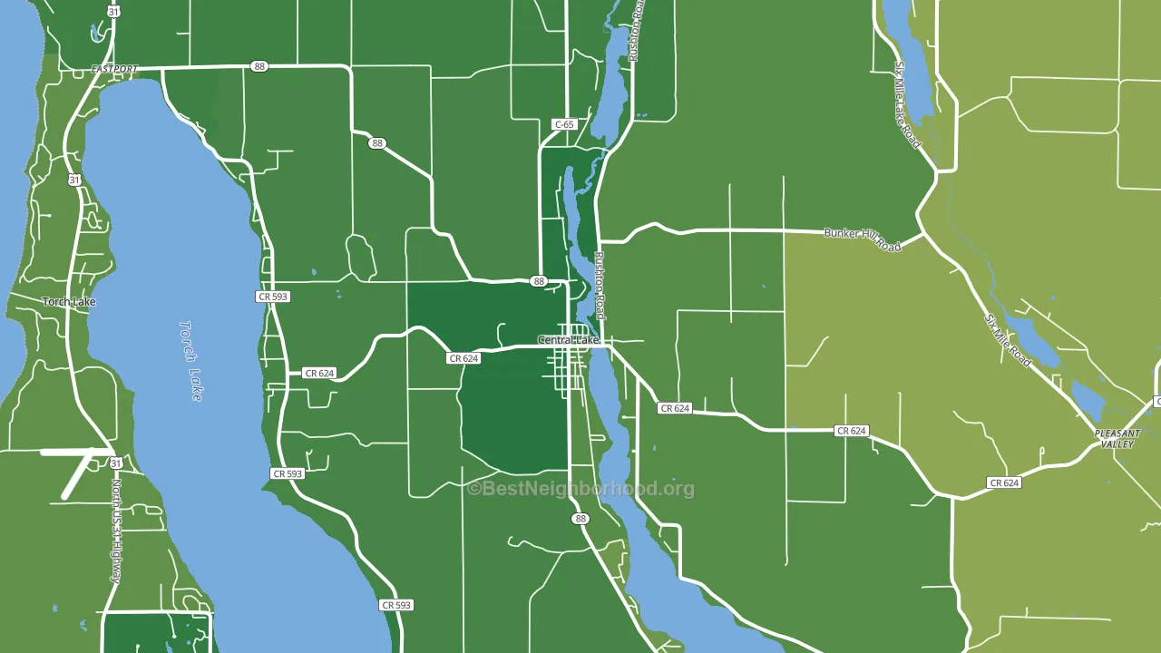 Central Lake, MI block-group voter-turnout map
