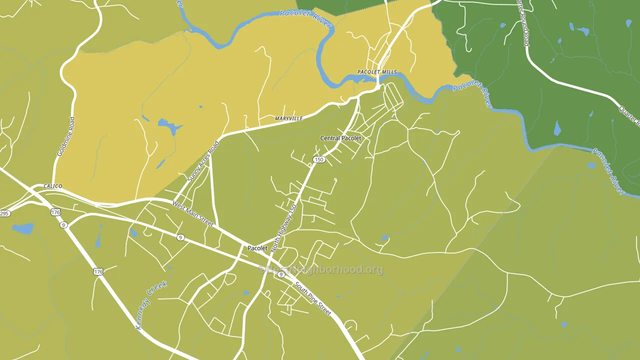 Central Pacolet, SC block-group voter-turnout map