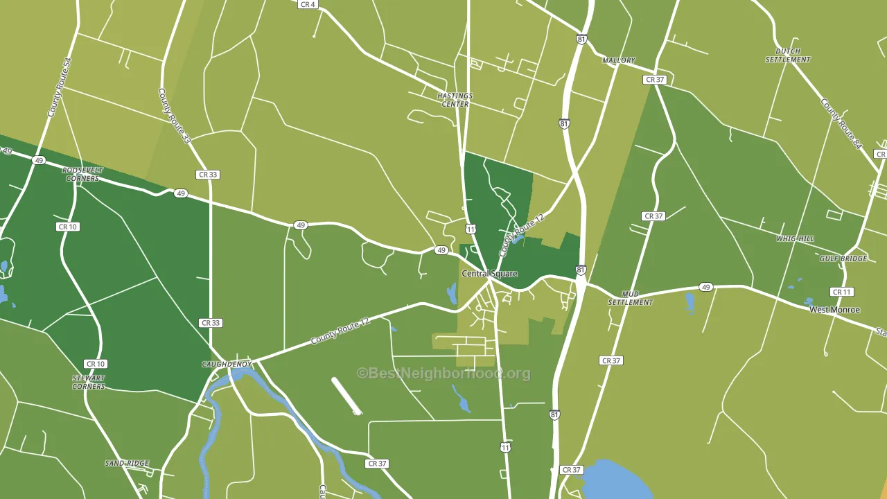 Central Square, NY block-group voter-turnout map