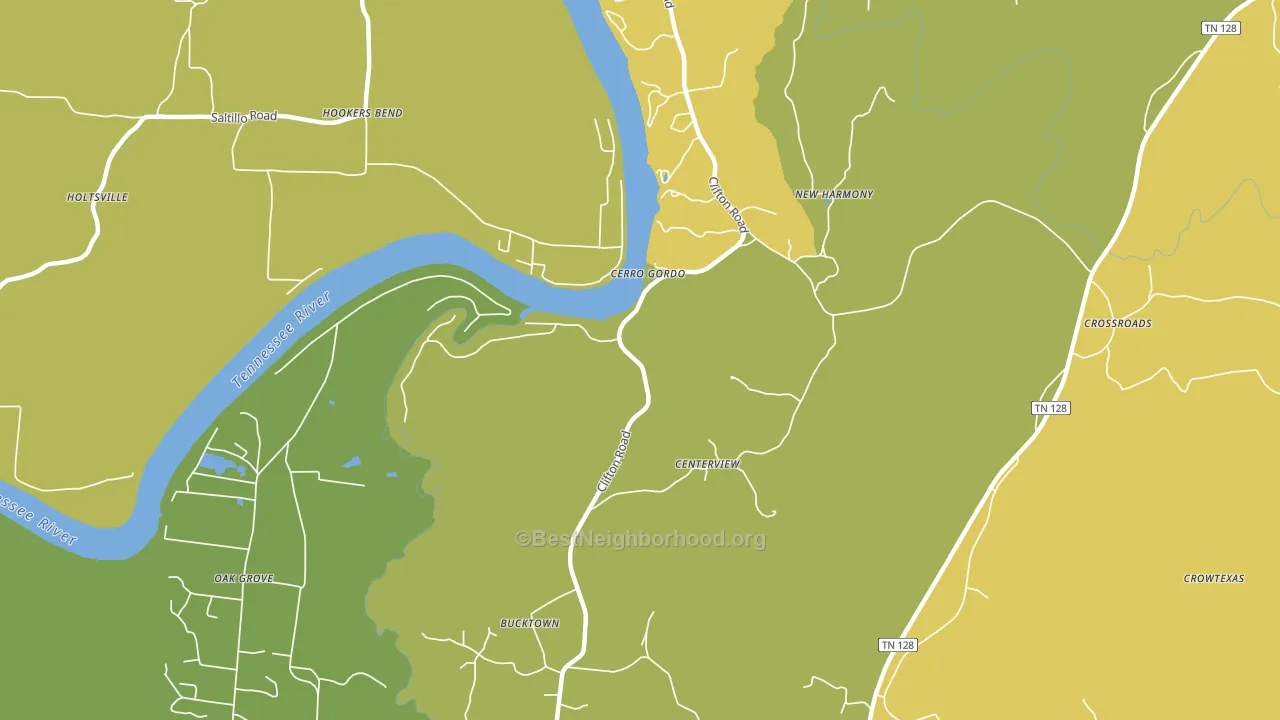 Cerro Gordo, TN block-group voter-turnout map