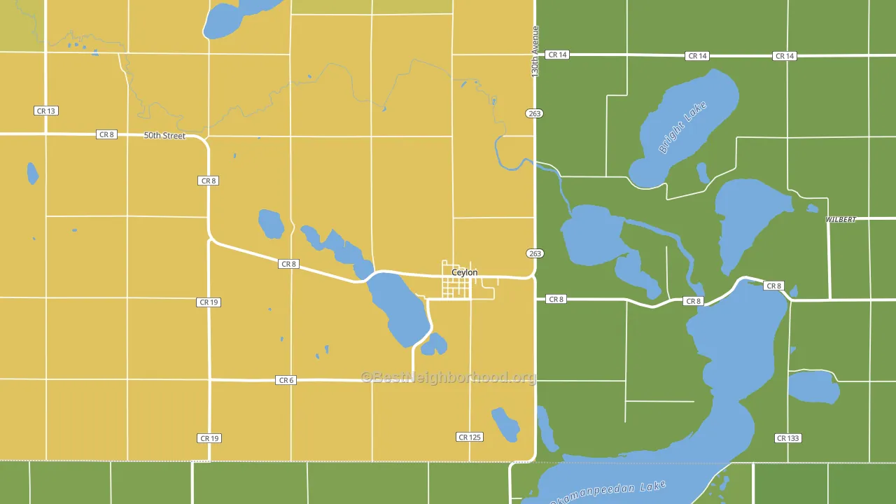 Ceylon, MN block-group voter-turnout map