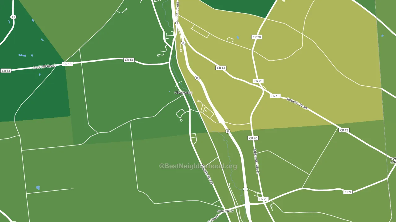 Chadwicks, NY block-group voter-turnout map