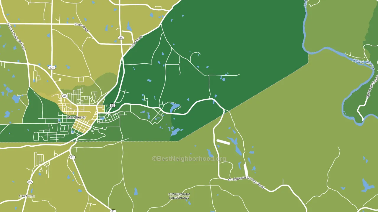 Chalybeate Springs, GA block-group voter-turnout map