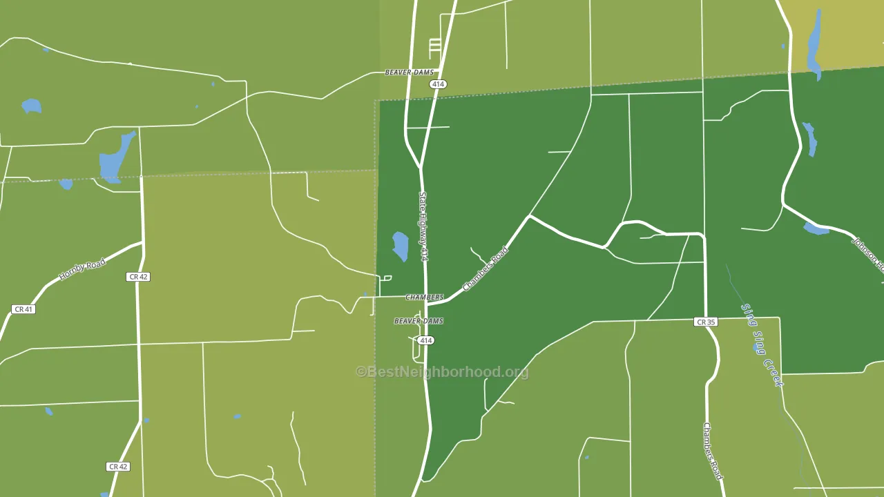Chambers, NY block-group voter-turnout map