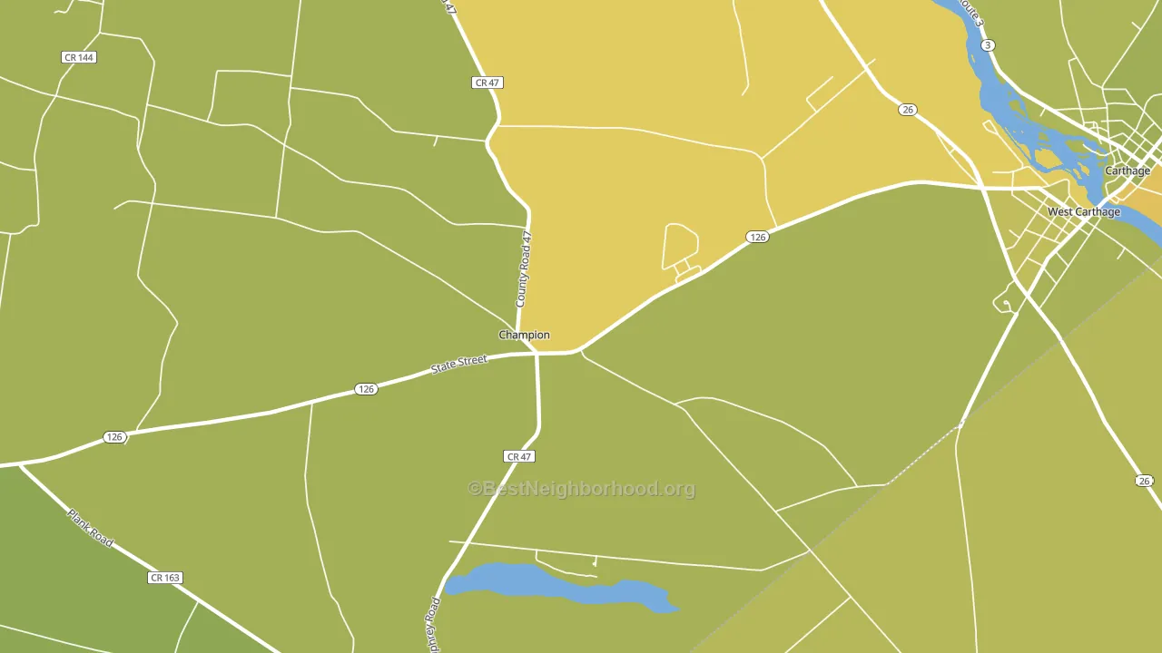 Champion, NY block-group voter-turnout map
