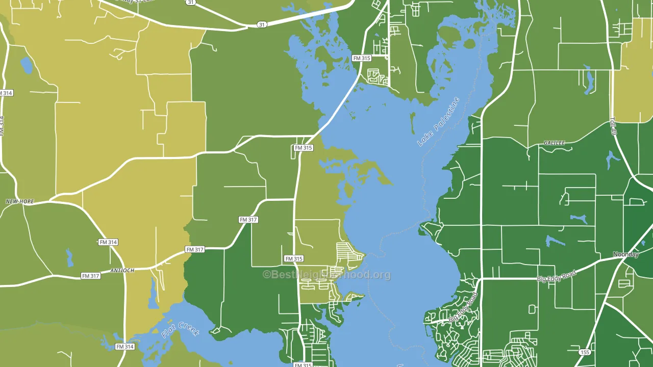 Chandler, TX block-group voter-turnout map