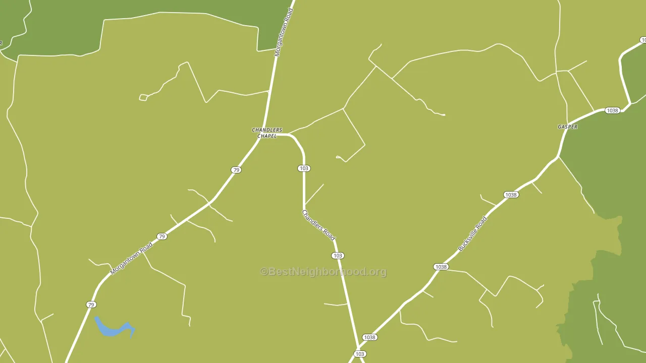 Chandlers Chapel, KY block-group voter-turnout map
