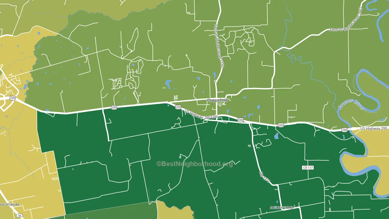 Chappell Hill, TX block-group voter-turnout map