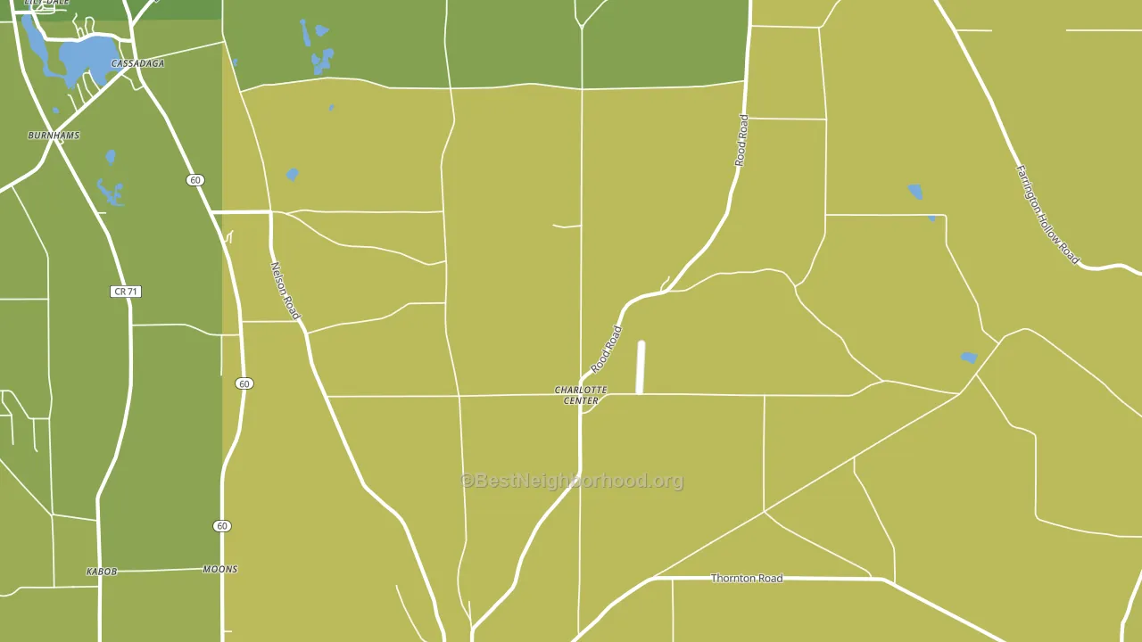 Charlotte Center, NY block-group voter-turnout map