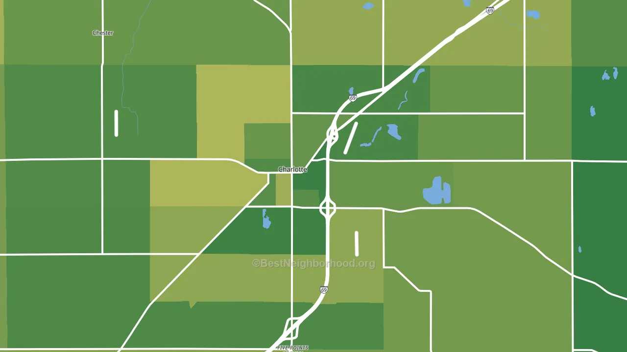 Charlotte, MI block-group voter-turnout map