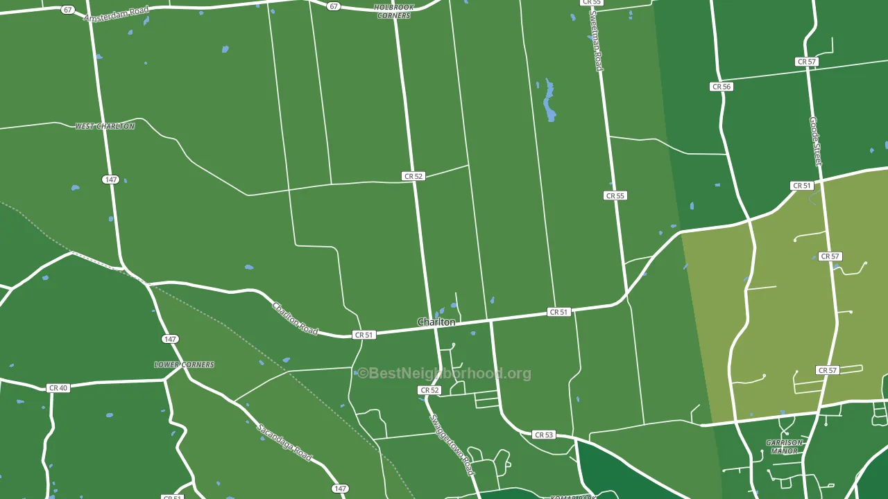 Charlton, NY block-group voter-turnout map