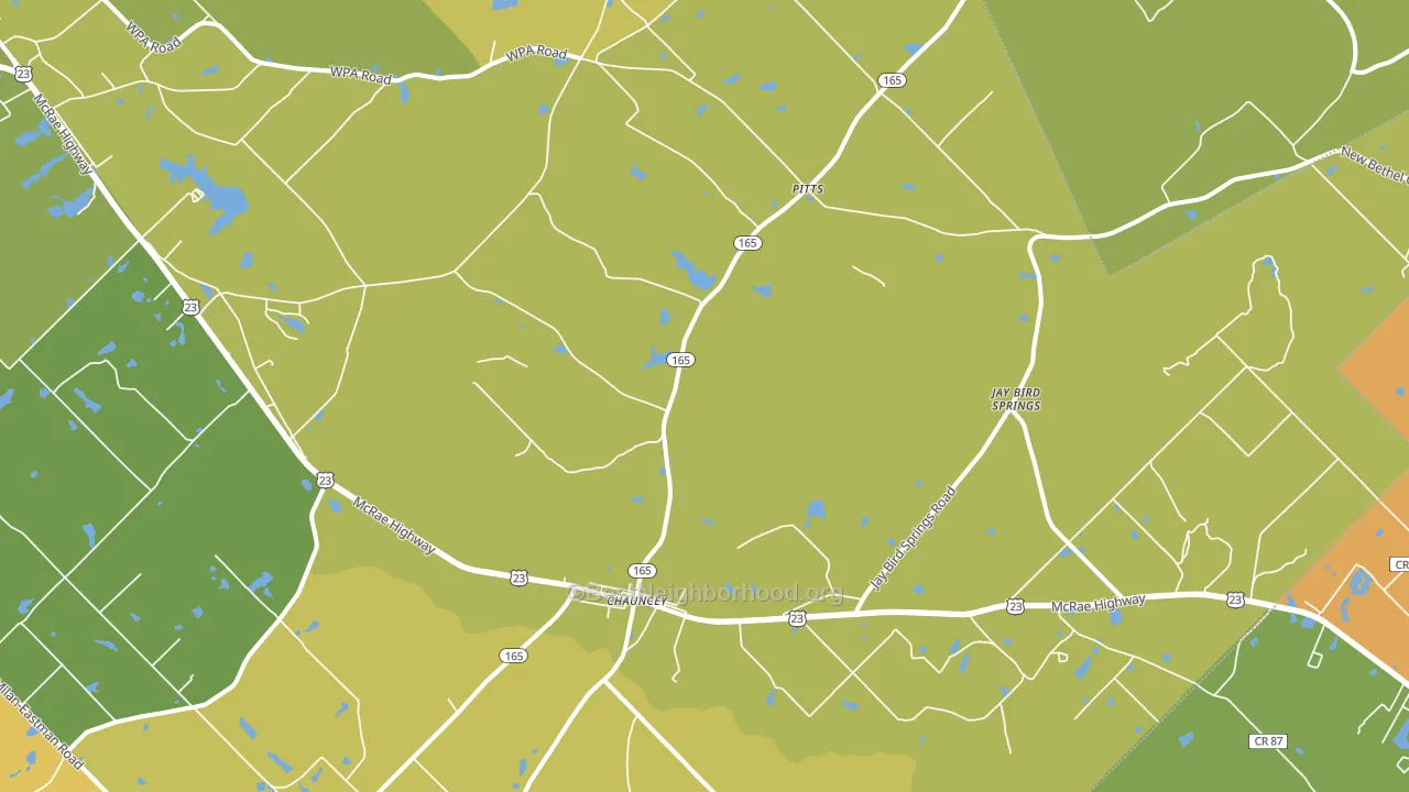 Chauncey, GA block-group voter-turnout map