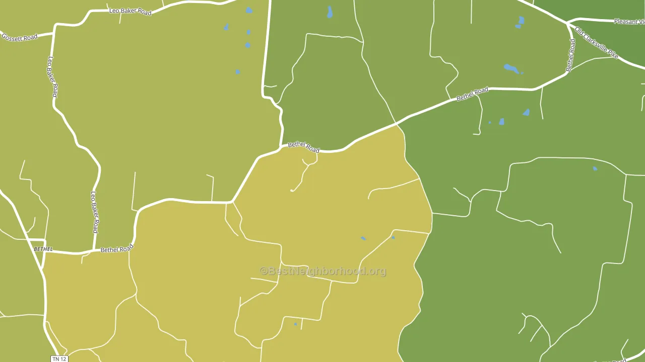 Cheap Hill, TN block-group voter-turnout map
