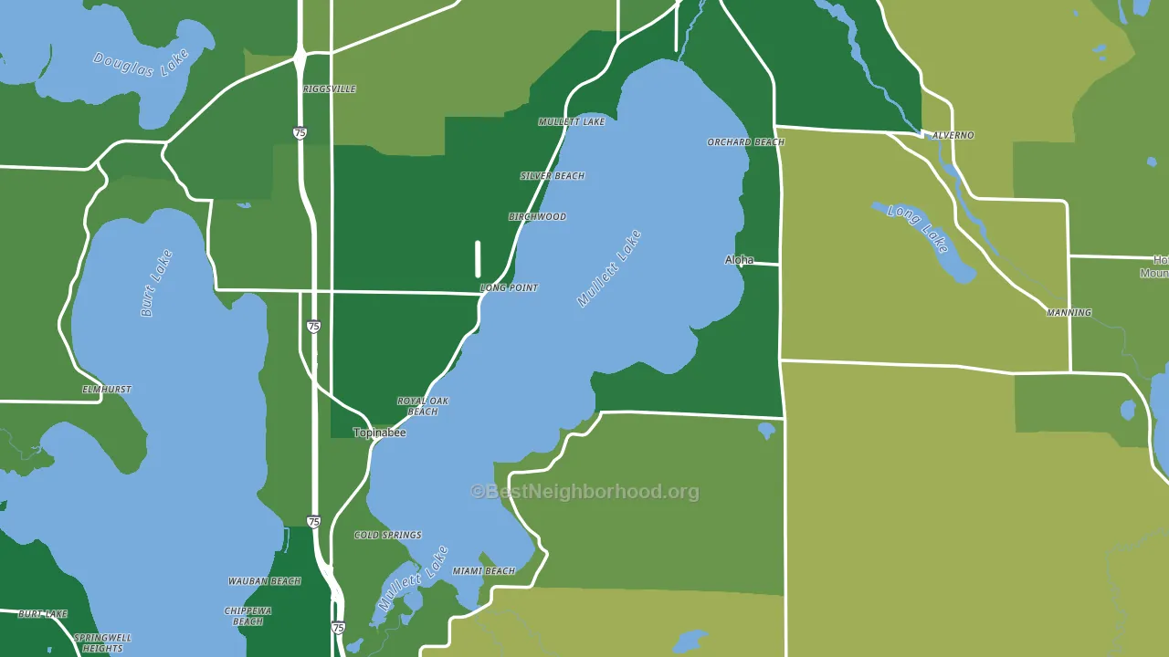 Cheboygan County, MI block-group voter-turnout map