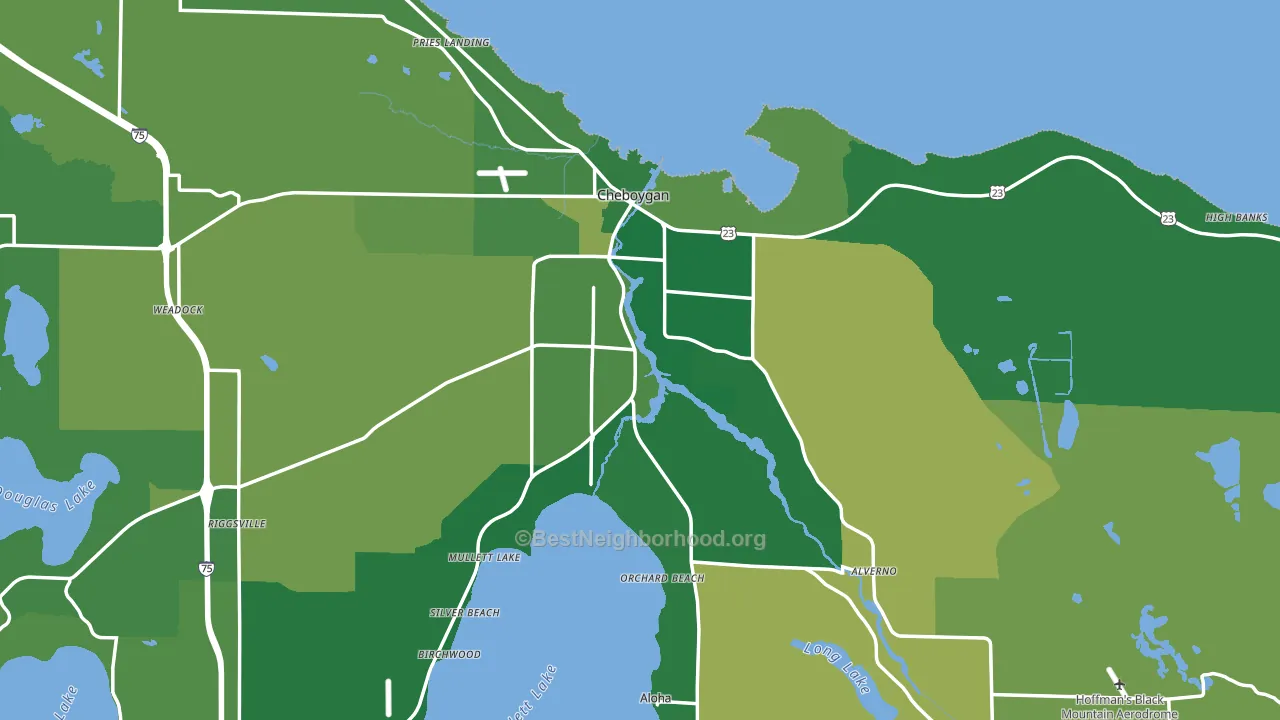 Cheboygan, MI block-group voter-turnout map