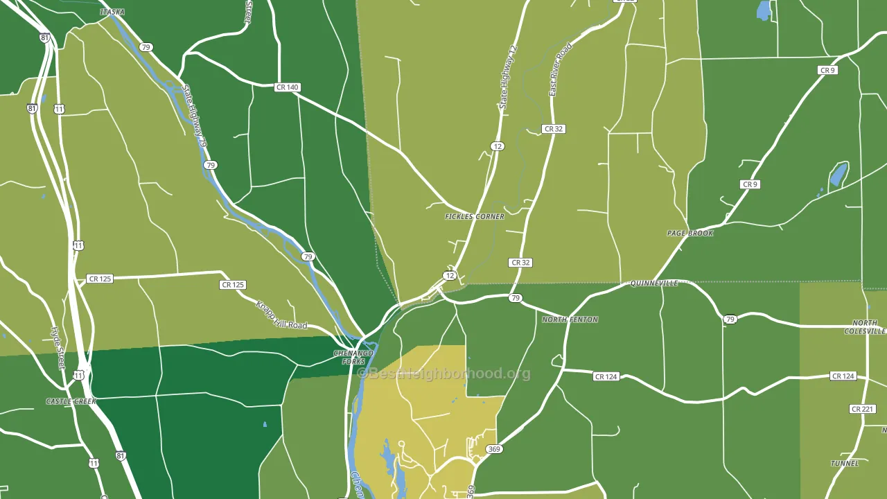 Chenango Forks, NY block-group voter-turnout map