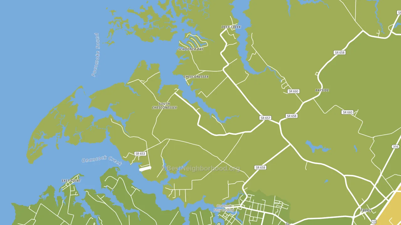 Chesconessex, VA block-group voter-turnout map