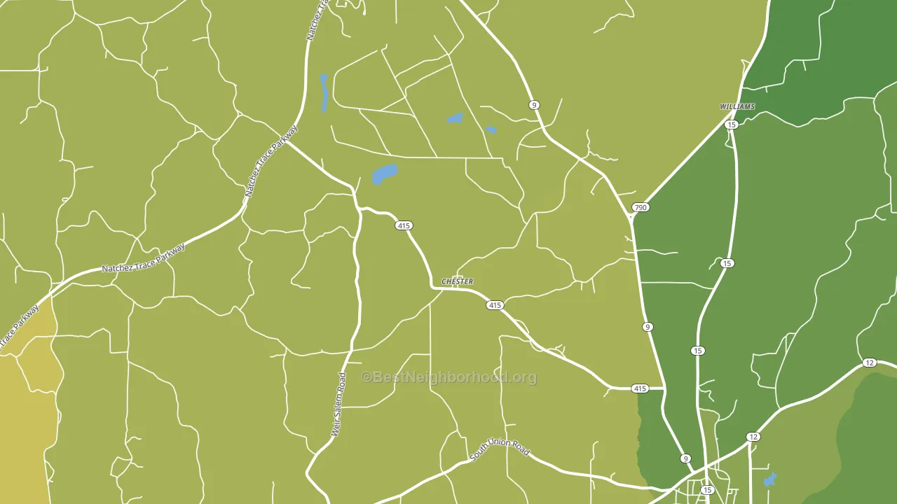 Chester, MS block-group voter-turnout map