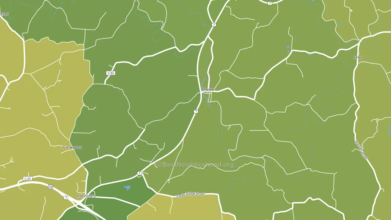 Chester, OH block-group voter-turnout map