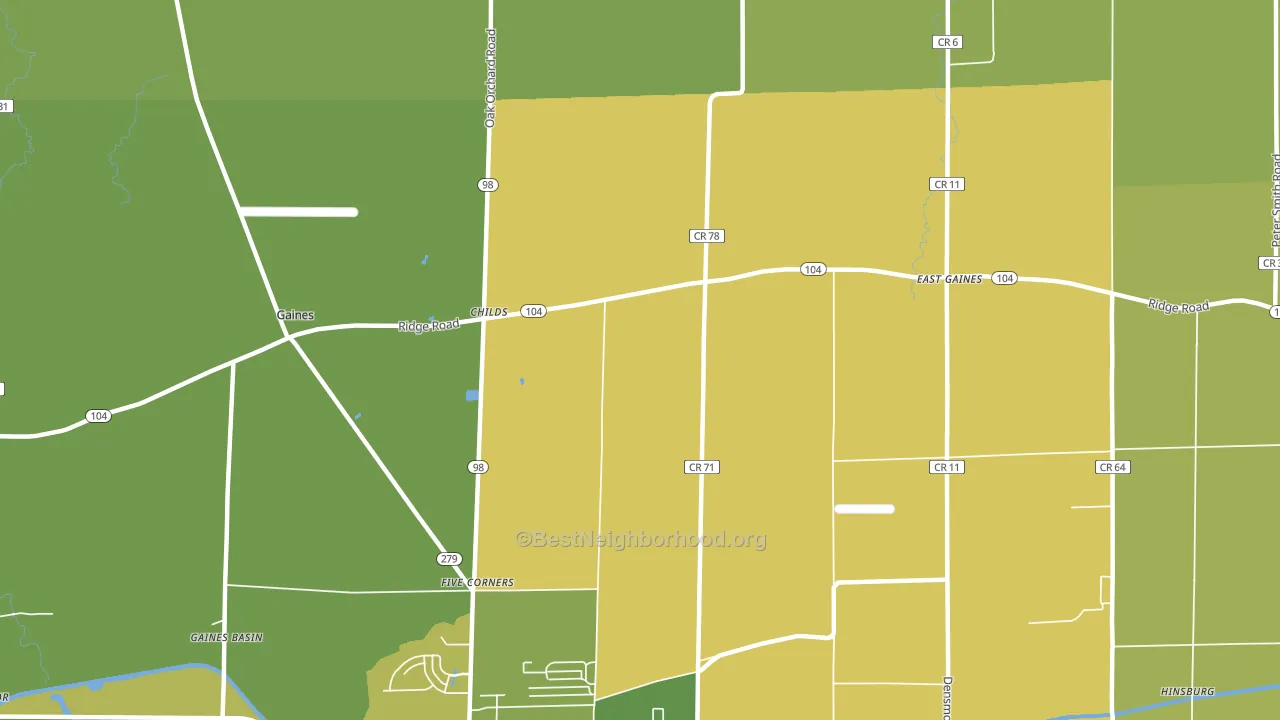 Childs, NY block-group voter-turnout map