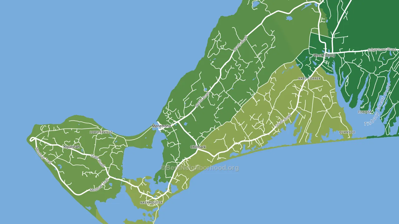 Chilmark, MA block-group voter-turnout map
