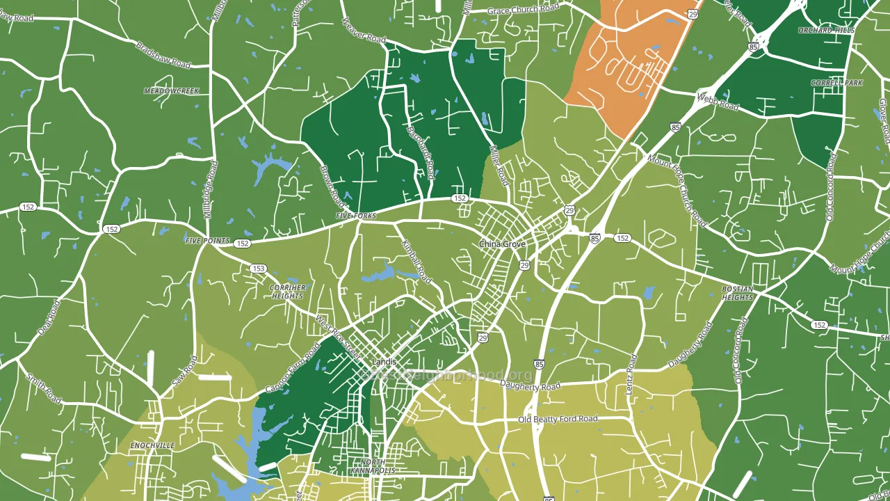 China Grove, NC block-group voter-turnout map