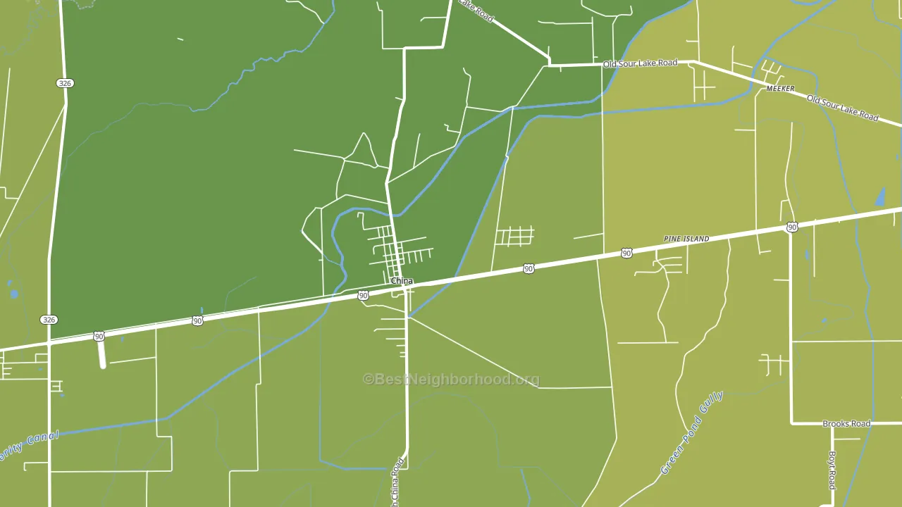 China, TX block-group voter-turnout map