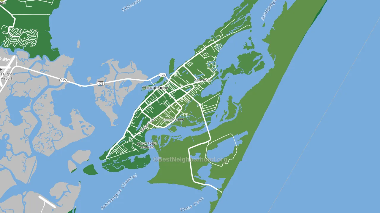 Chincoteague Island, VA block-group voter-turnout map